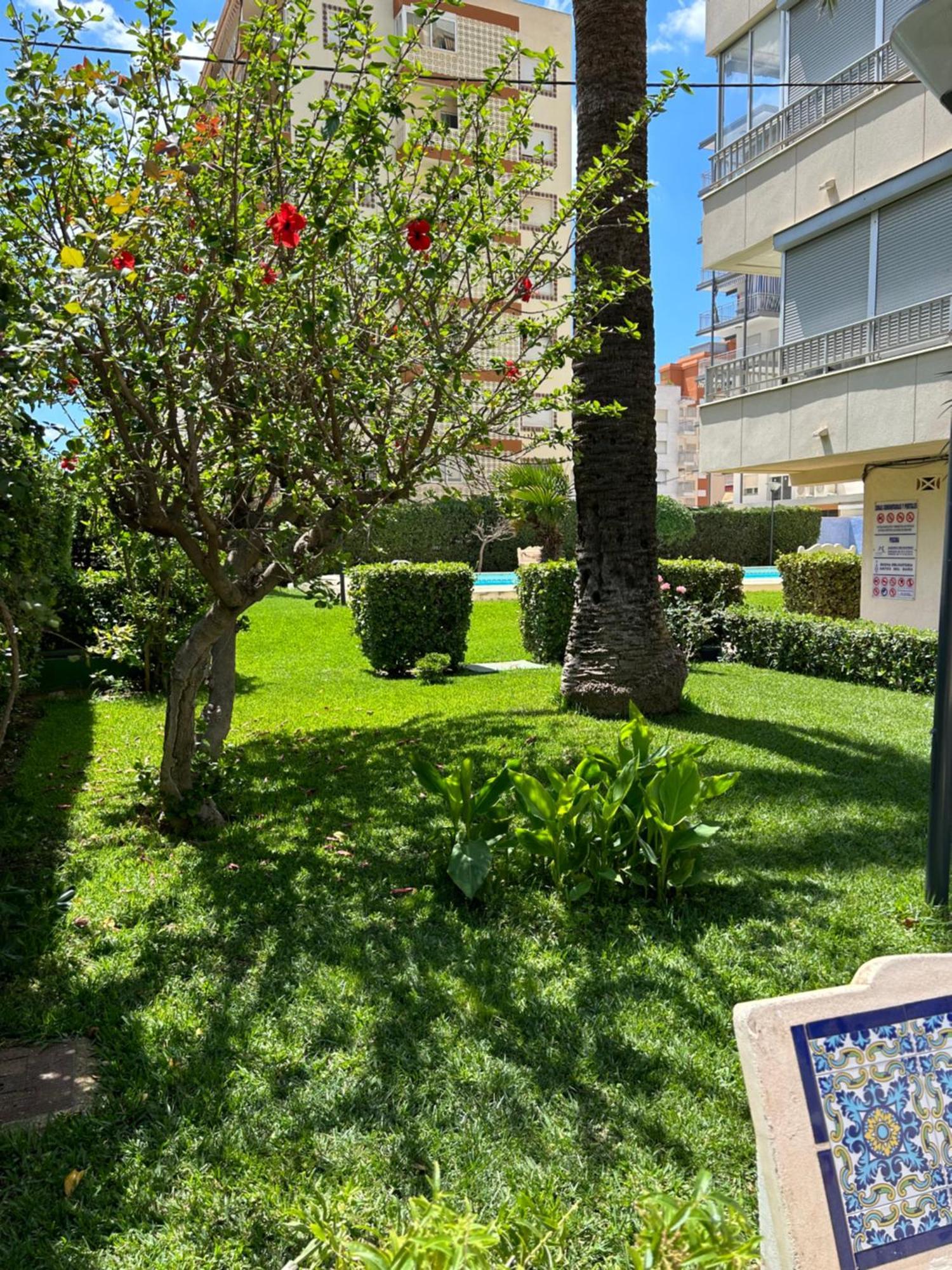 Apartamento Gandia Playa 150M Playa Con Parking Privado Y Piscina Playa de Gandia Exterior foto